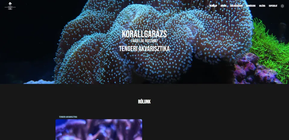 A Korallgarázs általunk készített weboldalának nyitóoldala – tengeri akvarisztika, korallokkal